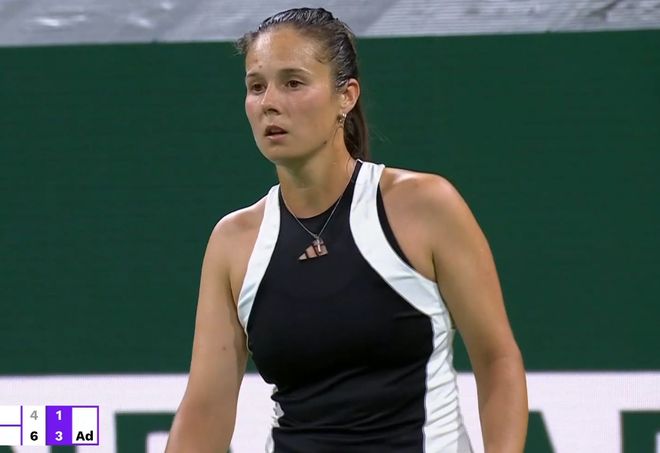 动在国内的 动在国内的