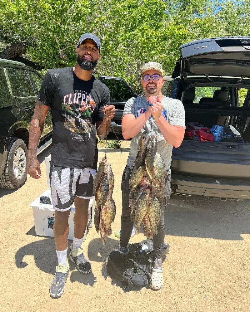 稳健发展战 稳健发展战